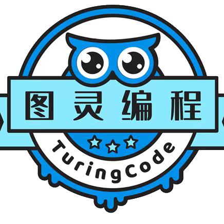 泰州图灵编程