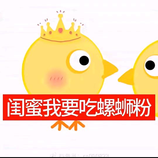 懂事的虫子