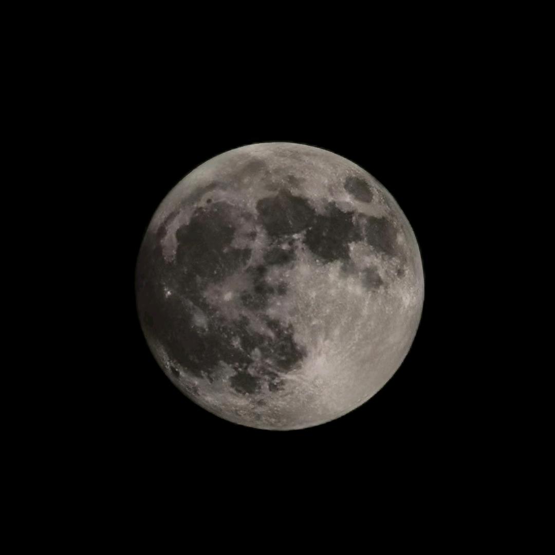 1340738260头像