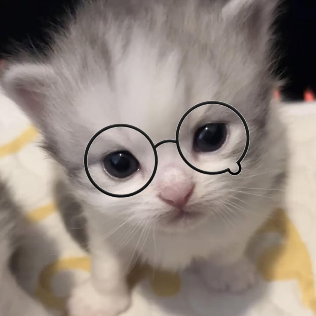 槿烬