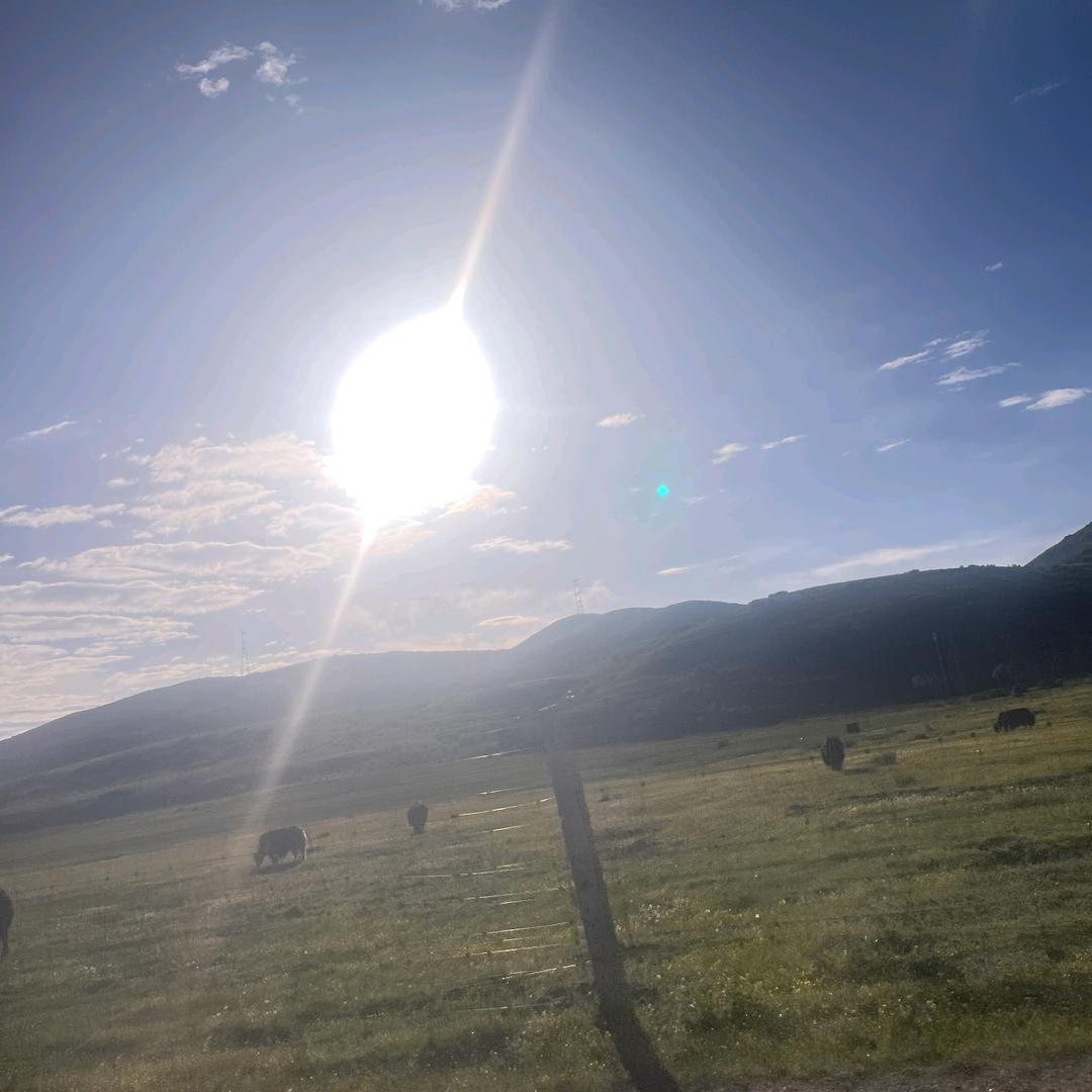 惜陌<拒绝聊天>