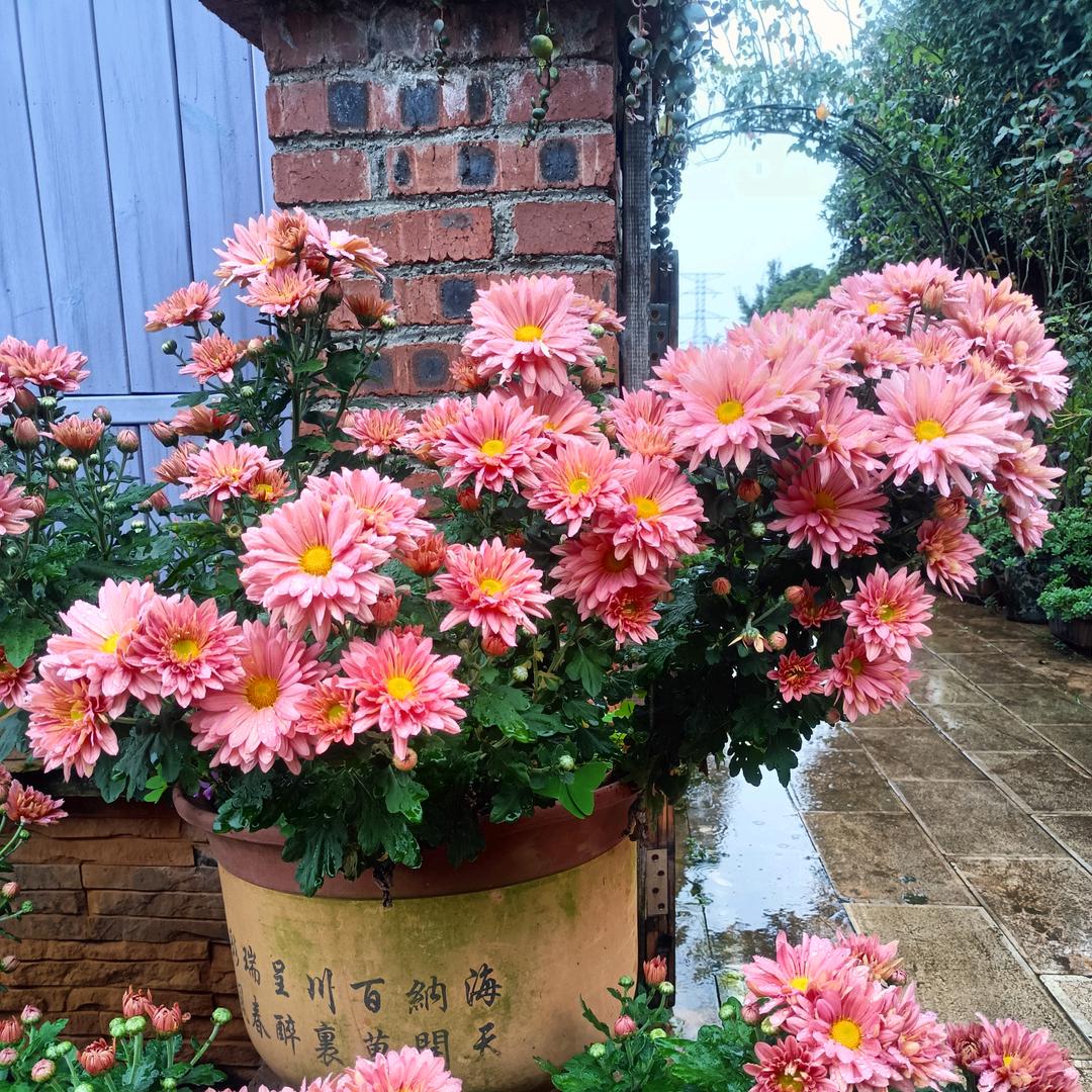 ꧁💞耿耿💞᭄᪲ᩚ