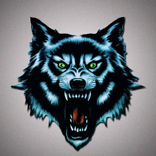 🐾狼图腾🐾