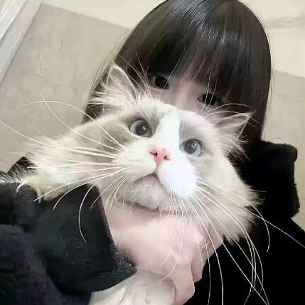 芋圆葡萄不要芋圆.