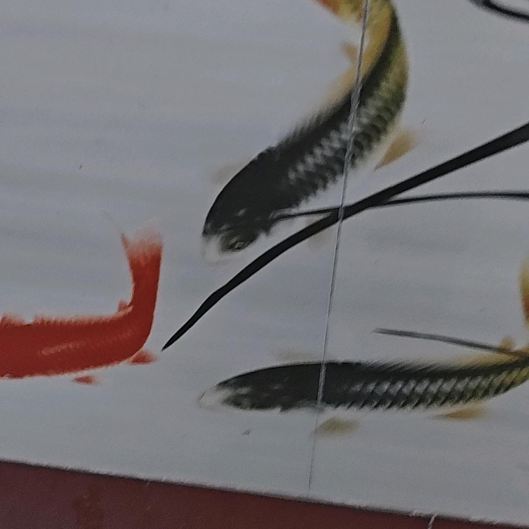 真真假假