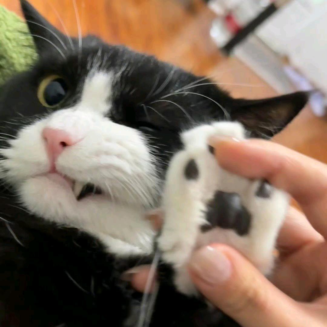 吖.