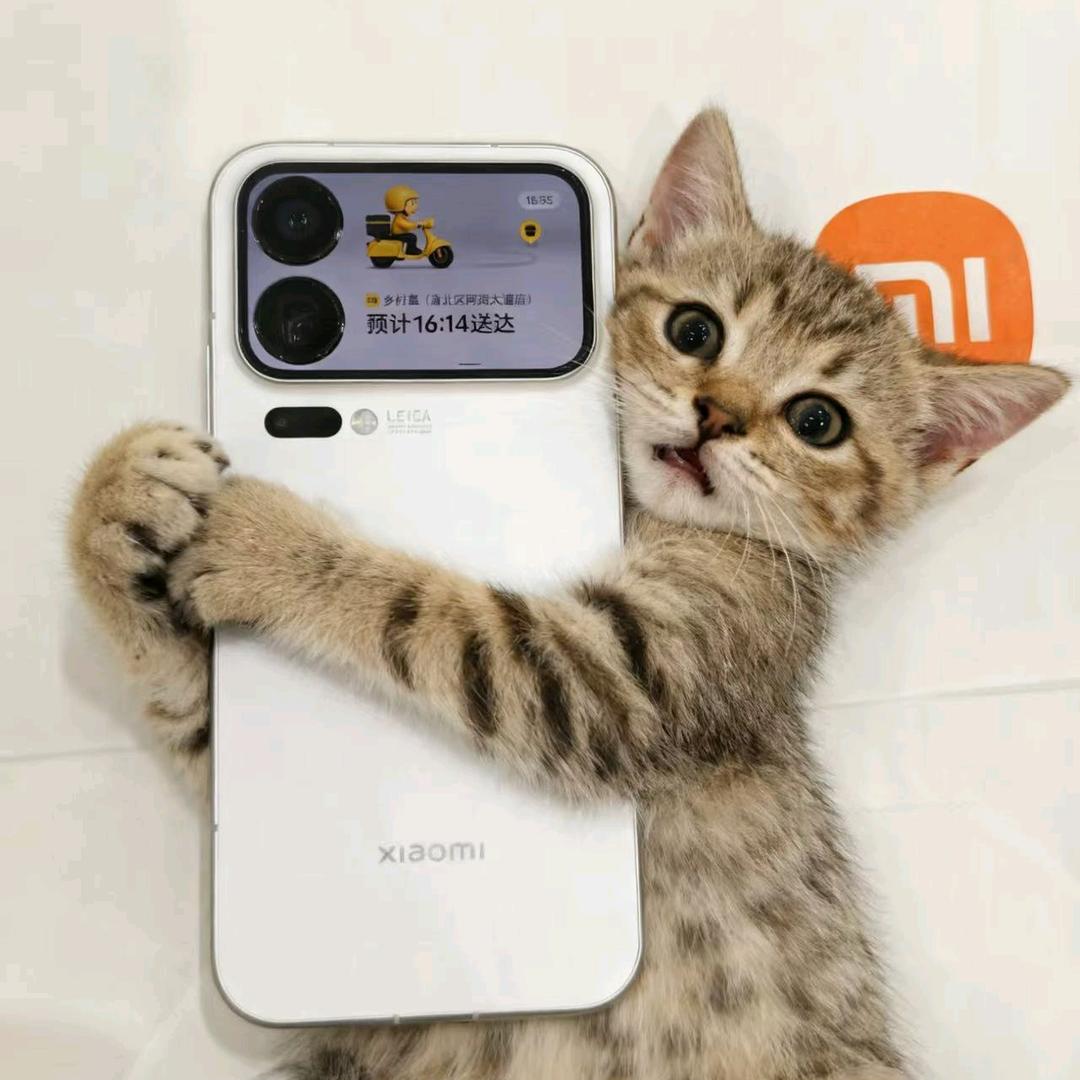 咻米的秀米在小米