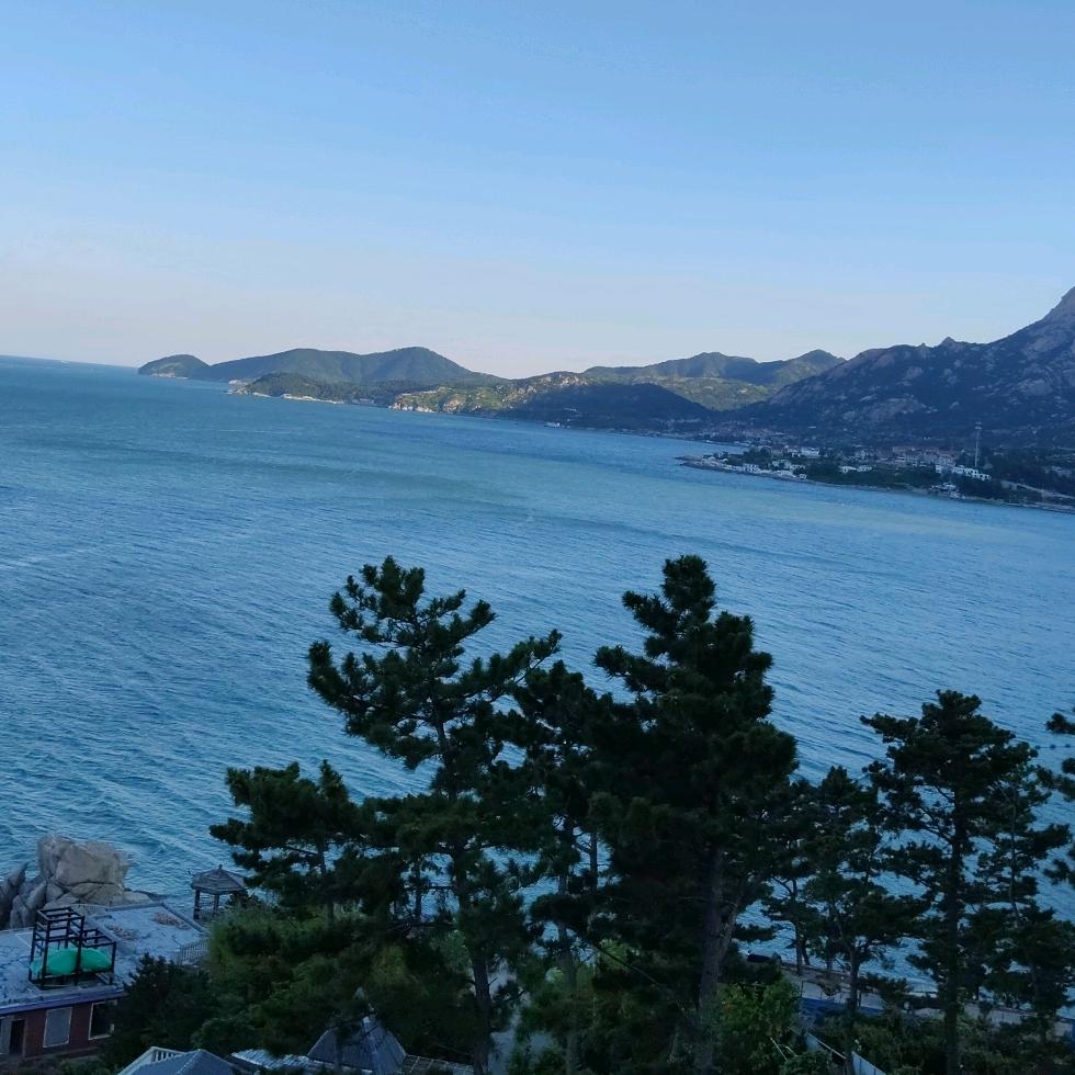 思念