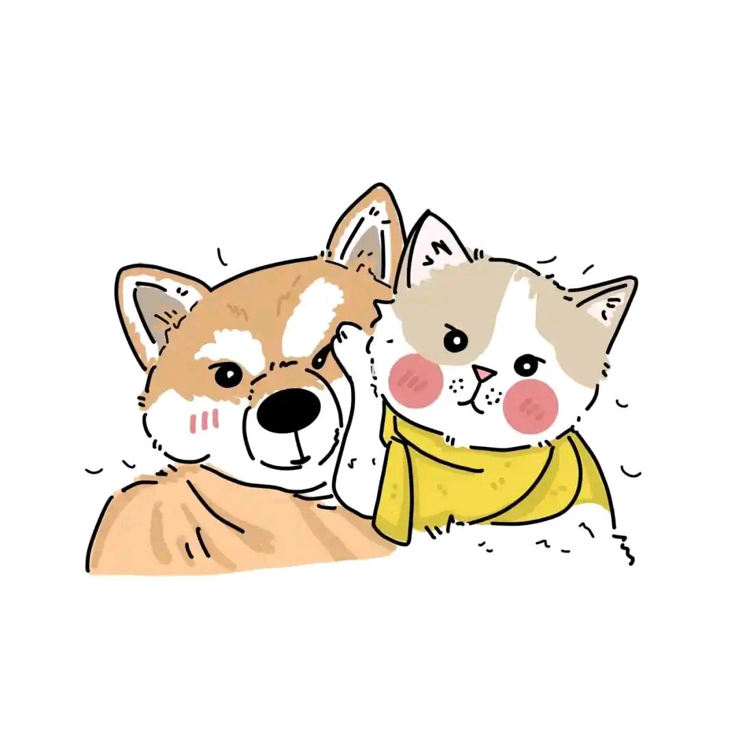 呼噜家宠 宠物冻干