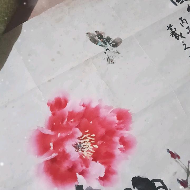 麦田de守望者(๑><๑）