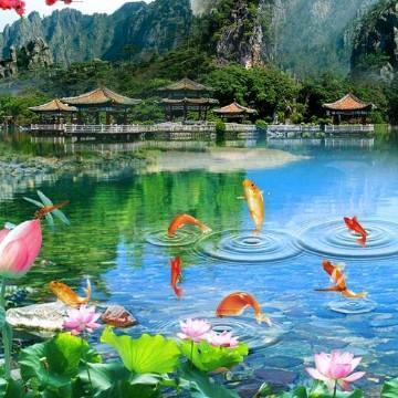 冰竹歌