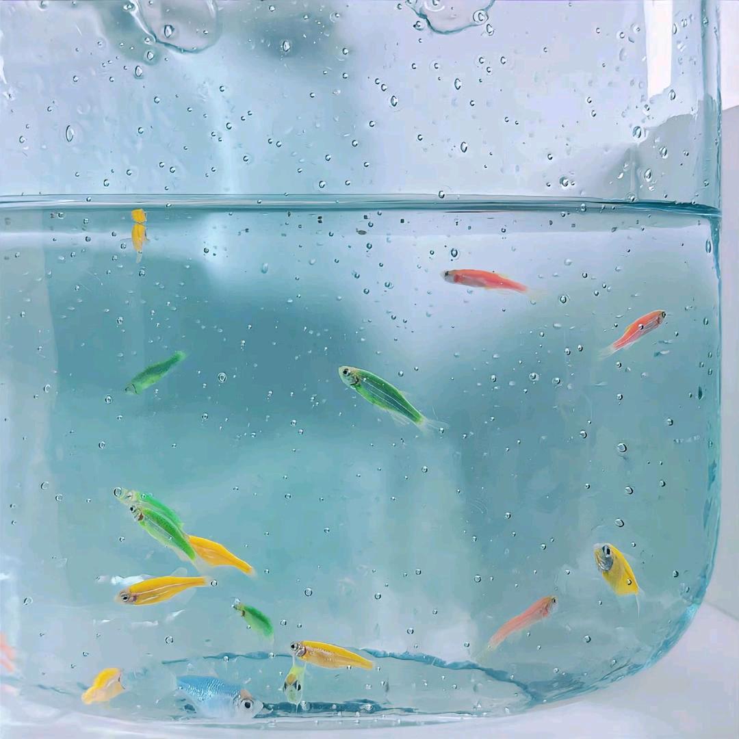 鹿知珅