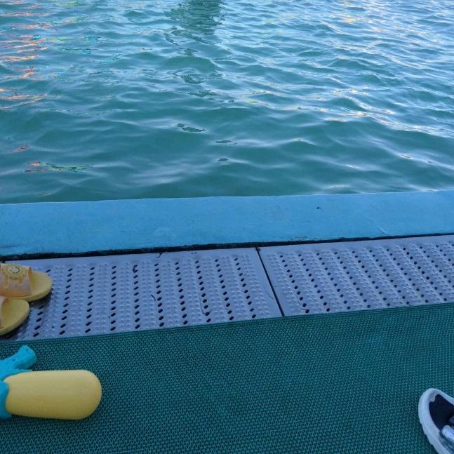 WxL((只爱梦梦，非她不娶)