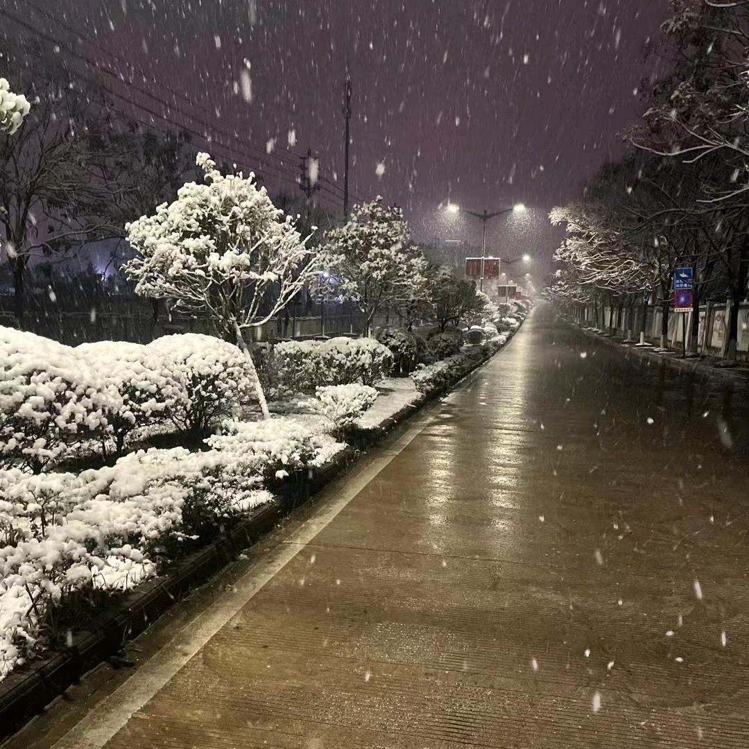 斐羽体育