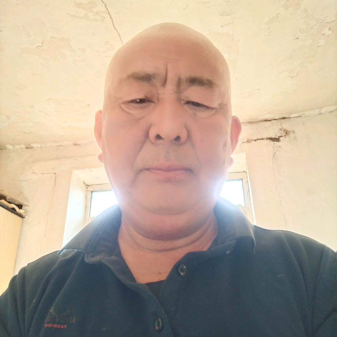 老黄牛