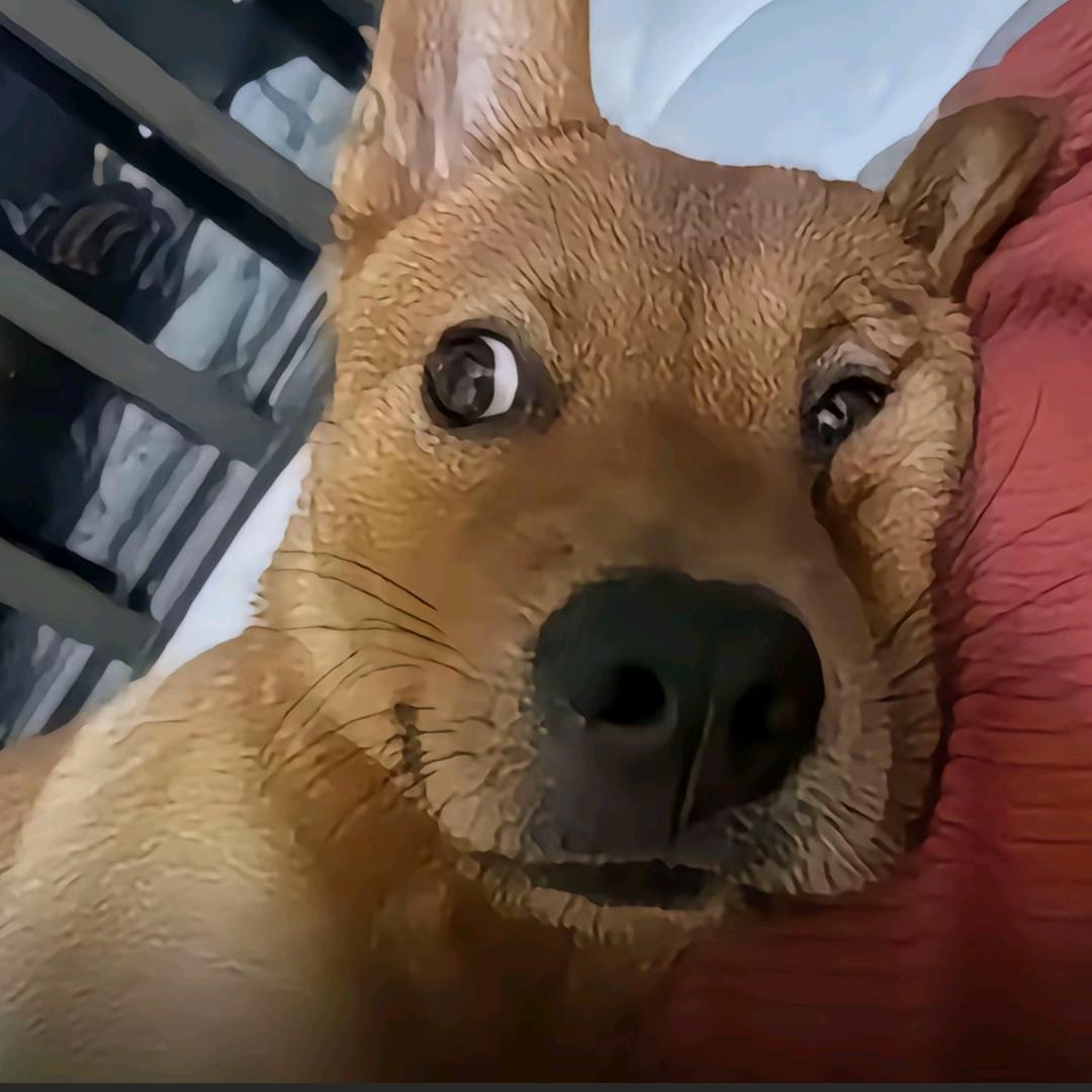 小青蛙