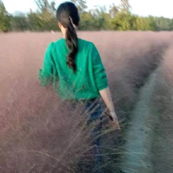 玉华养生（红颜姐姐小号）