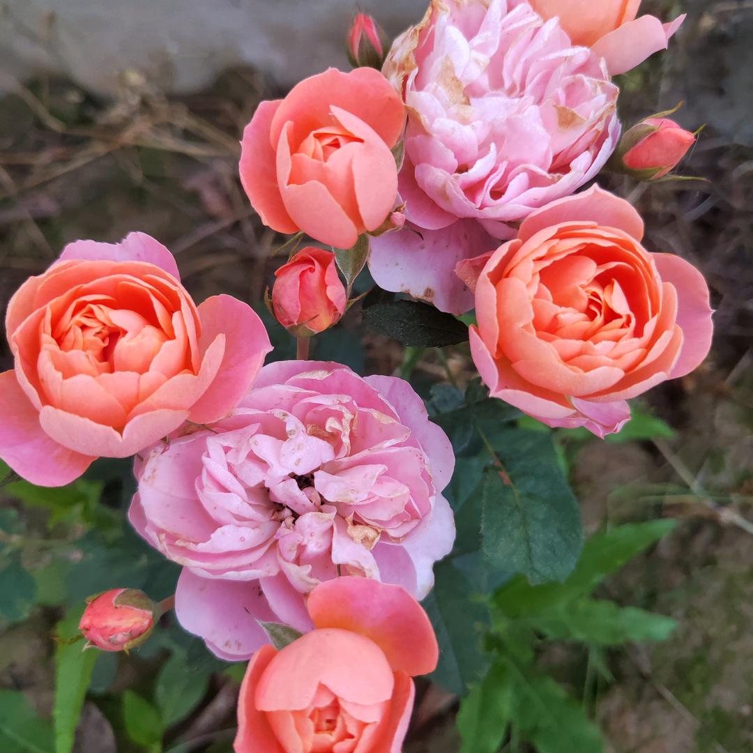 走自己的路开心就好。