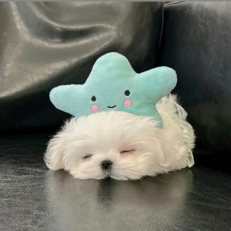 李荥奕