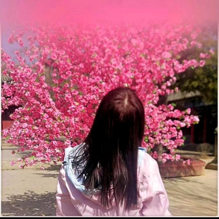 大唐不夜城~糟老头子