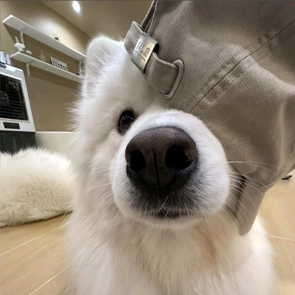 再睡一会_