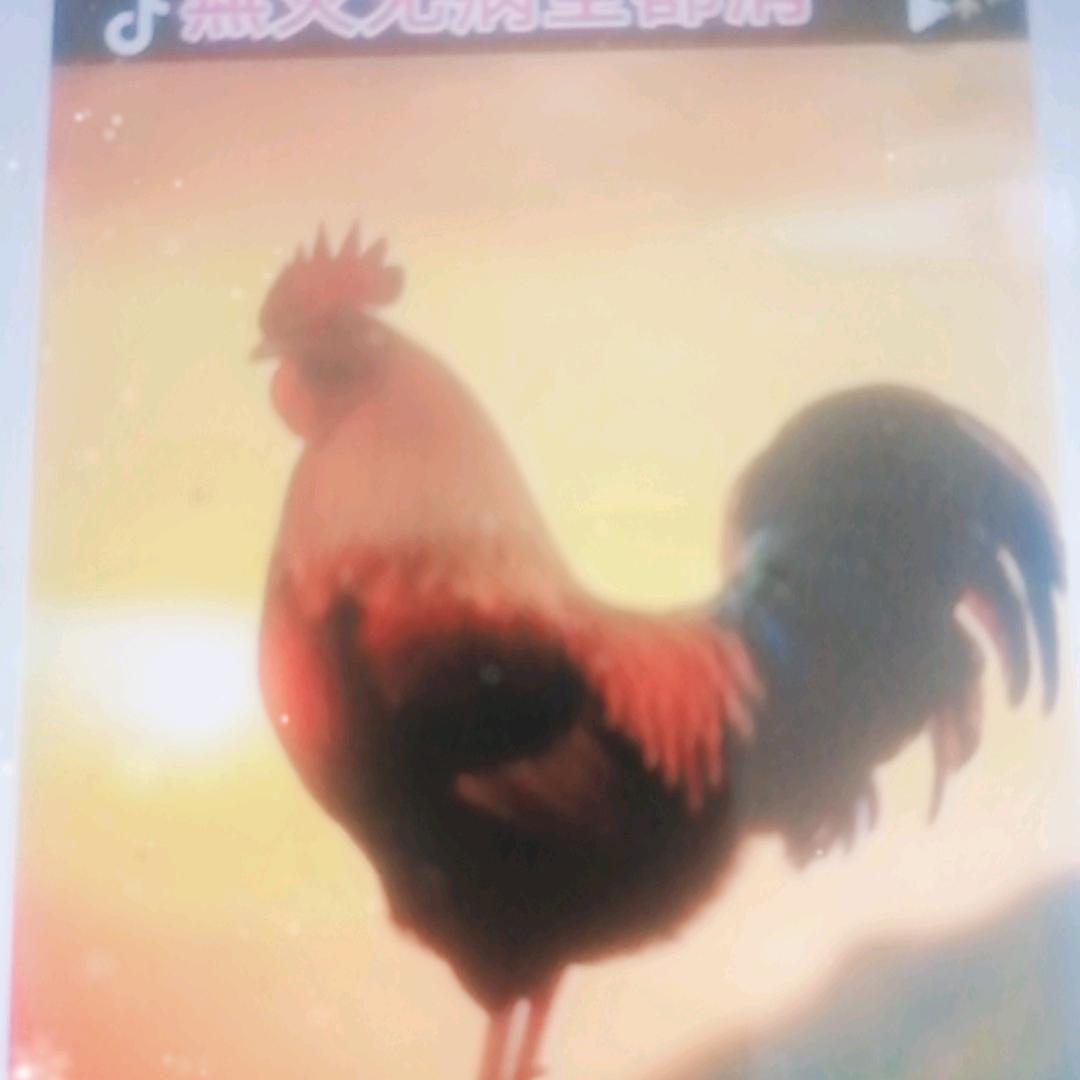 铁公鸡