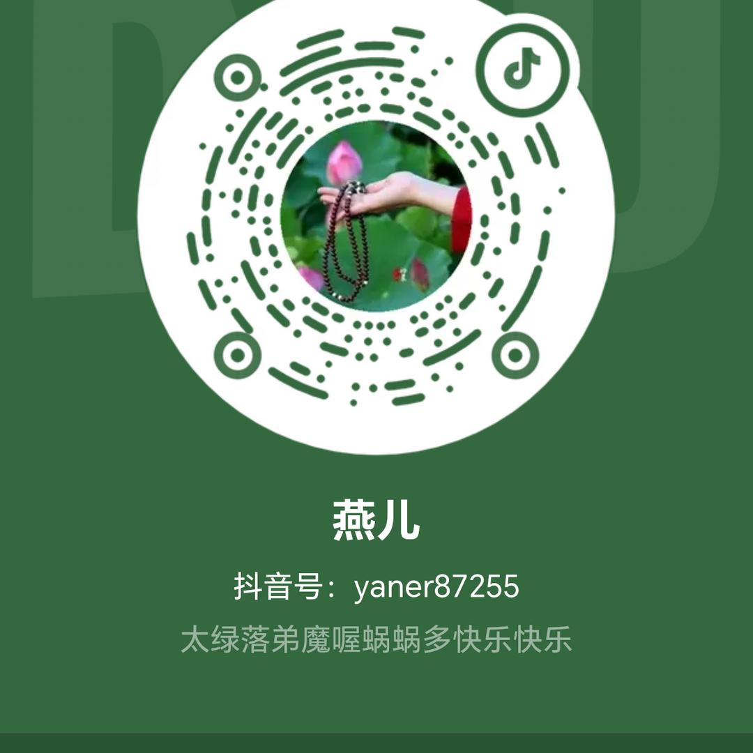 燕儿LFX