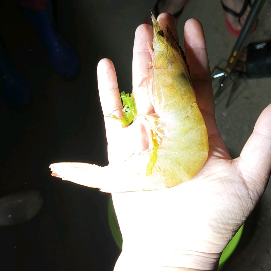 蟹逅你—鲅鱼圈赶海