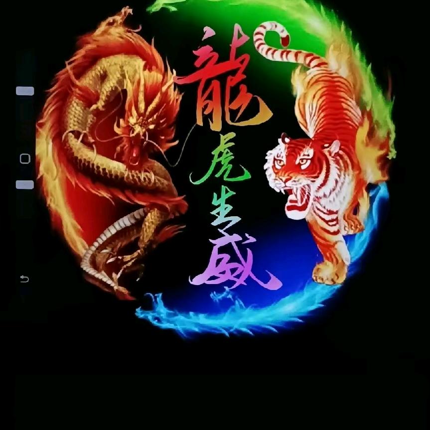 龙腾虎跃