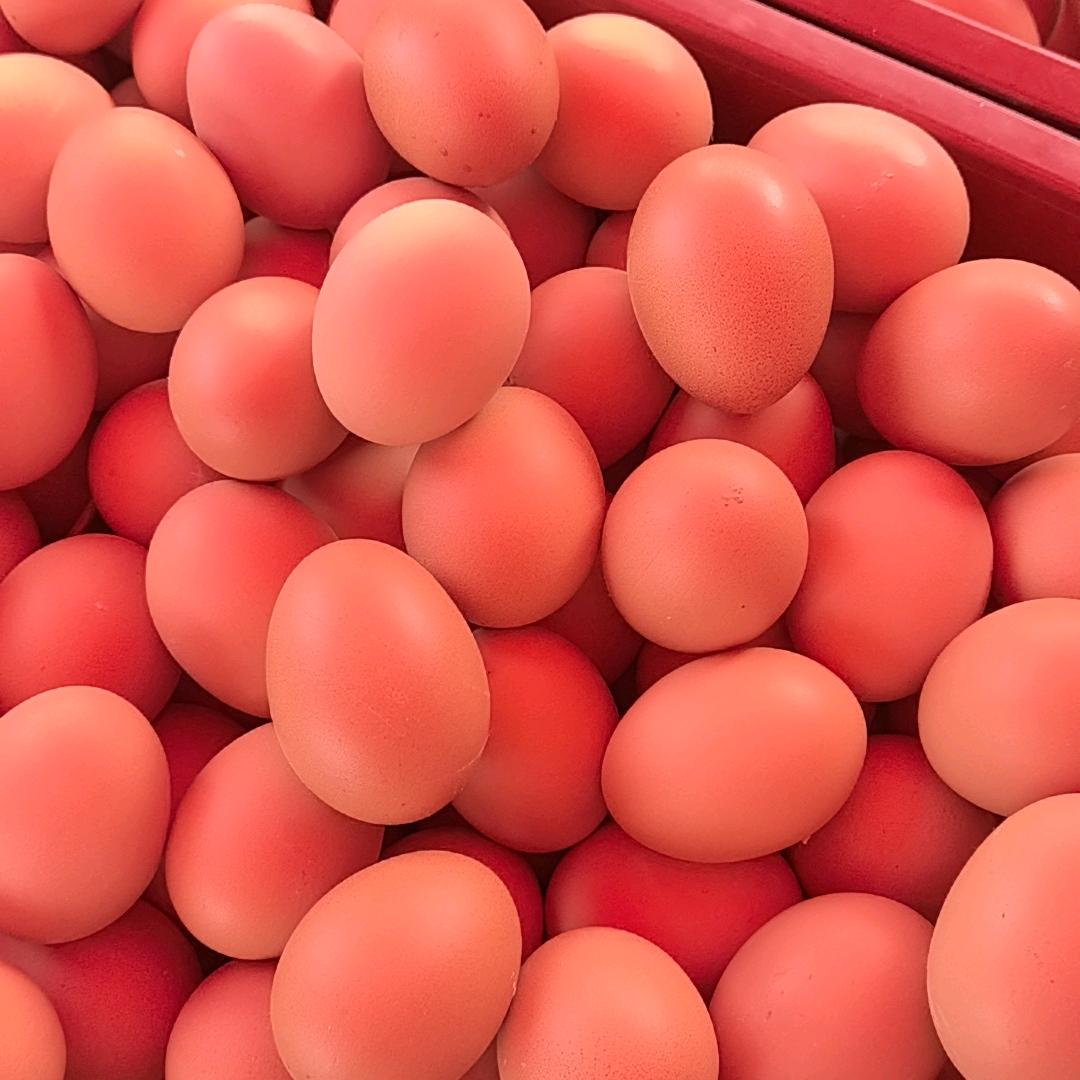 王老弟批发鸡蛋