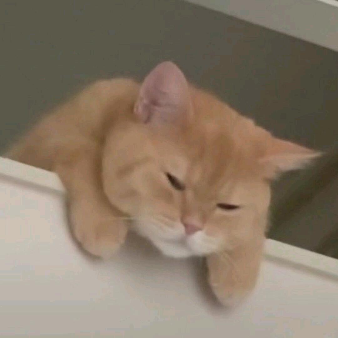 朝裤子开枪从此做一个酷毙的人