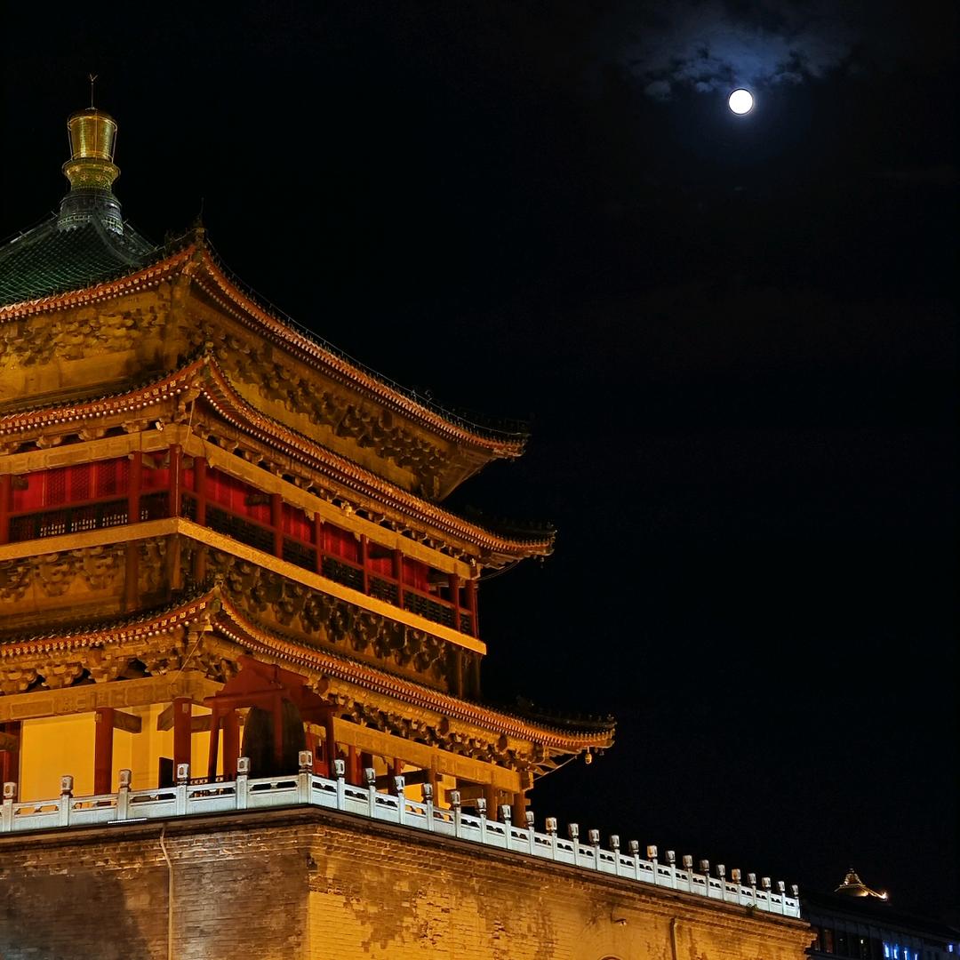 橙子（努力学习版）