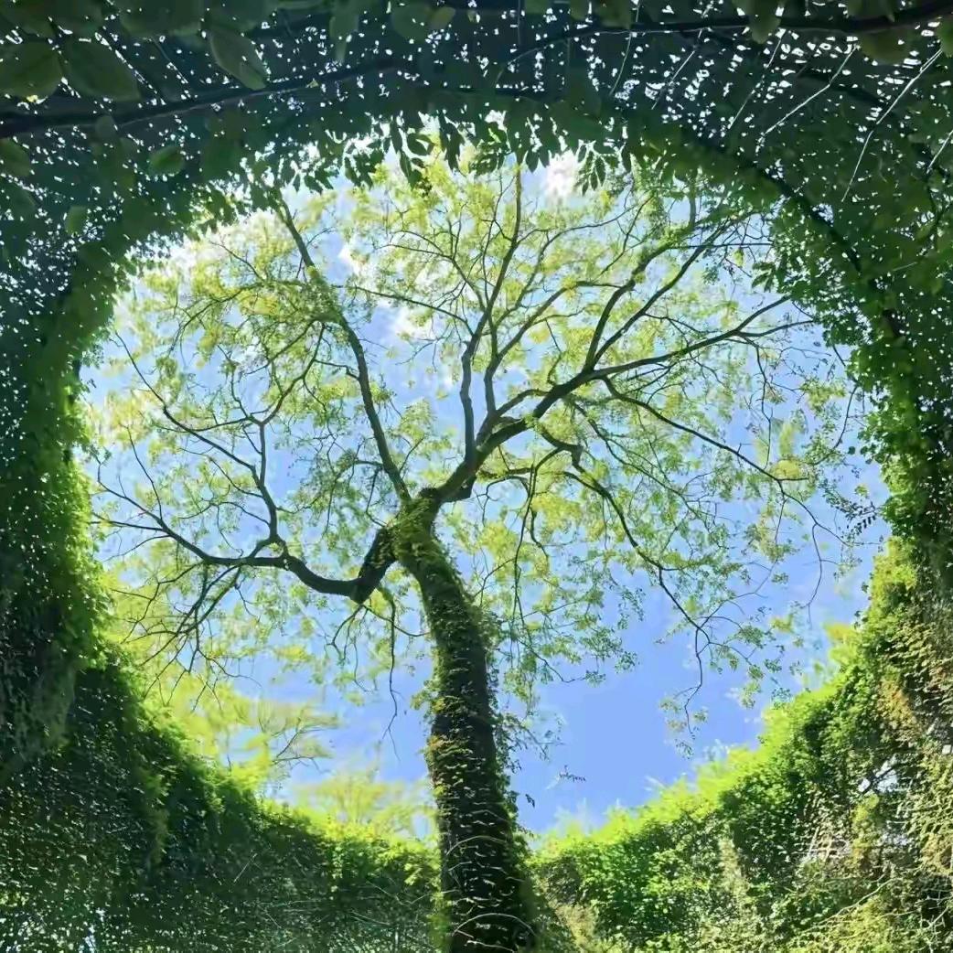 繁星