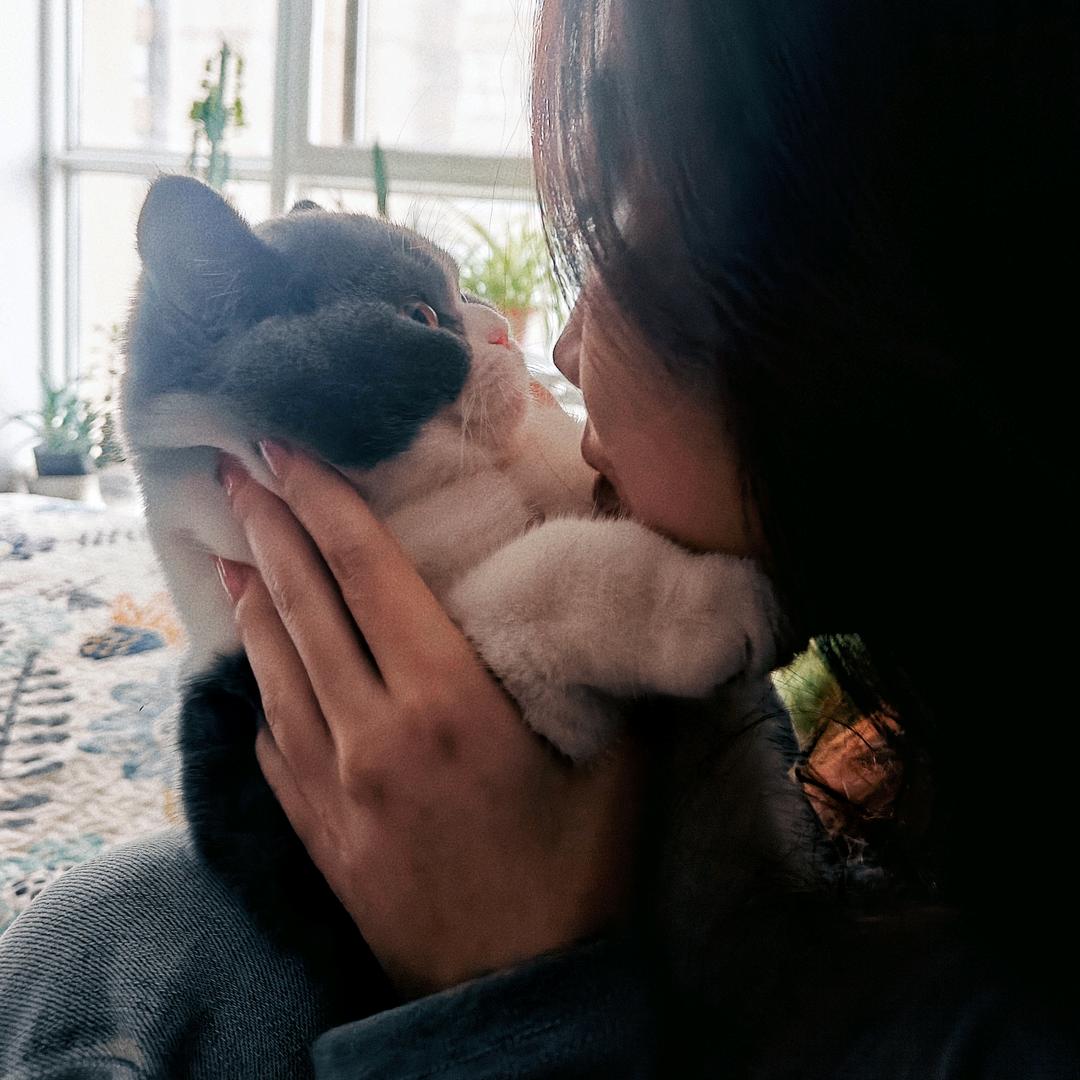 ☞是🐮🐮飞飞呀