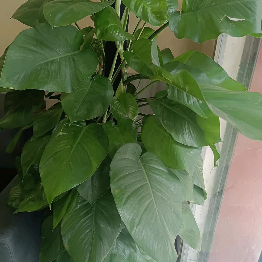 你好_2590734