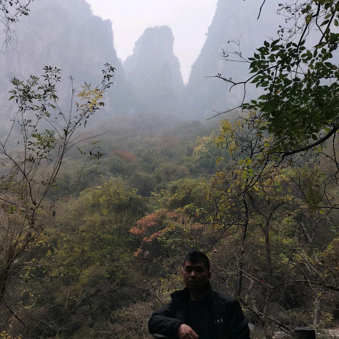 固镇县固灵农机，灵璧县佳欣农机