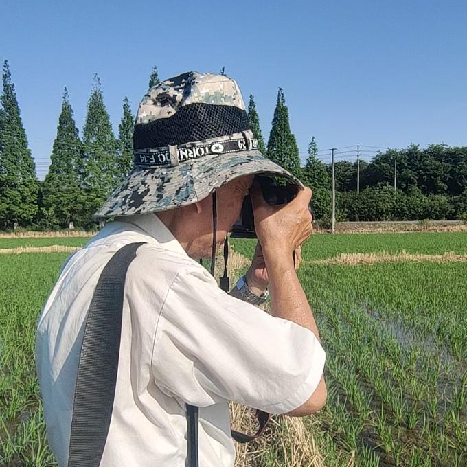 老张带你游头像