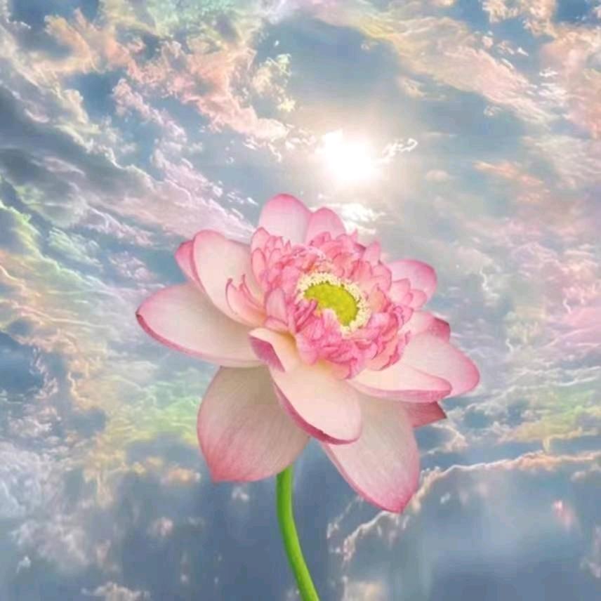 扎木样.拉姆