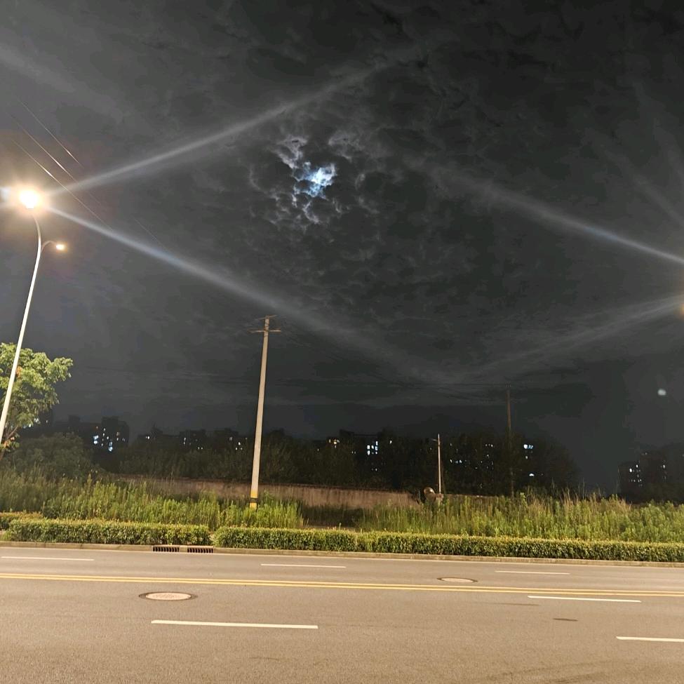 喵小毛