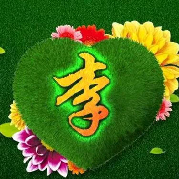 天天好运