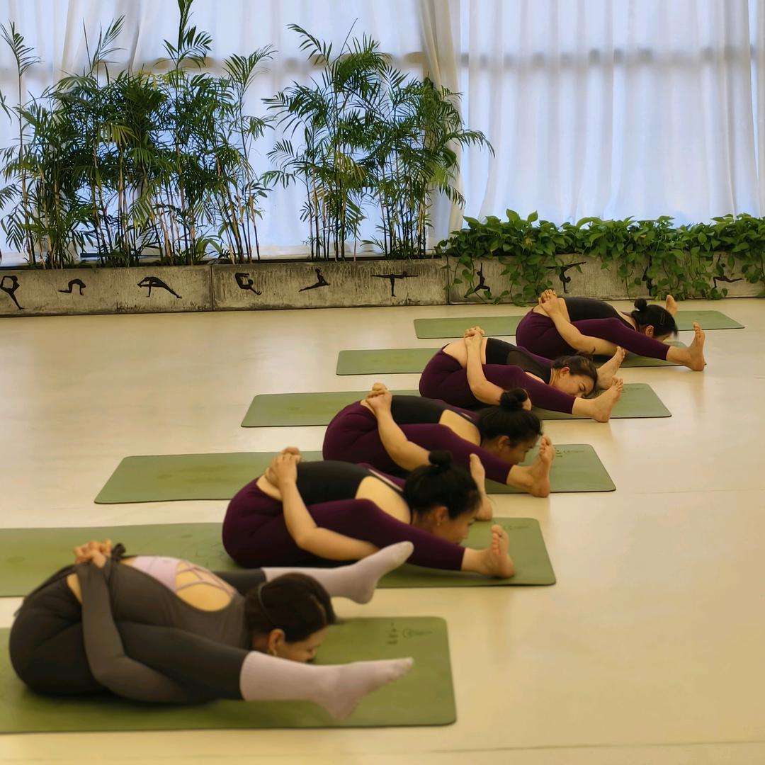 一叶yoga＊舟舟