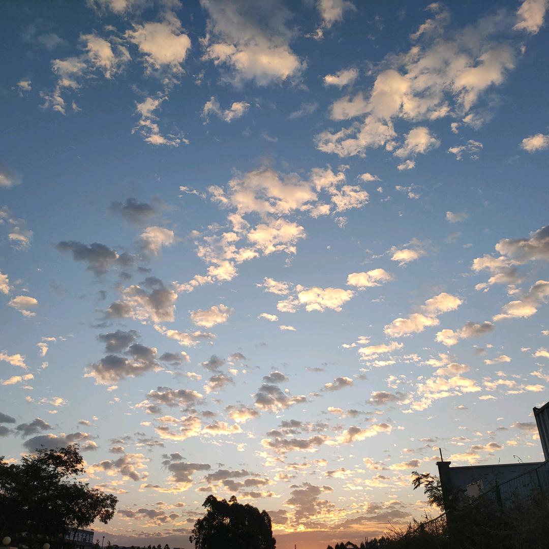 🧚‍♂️一切尽在不言中