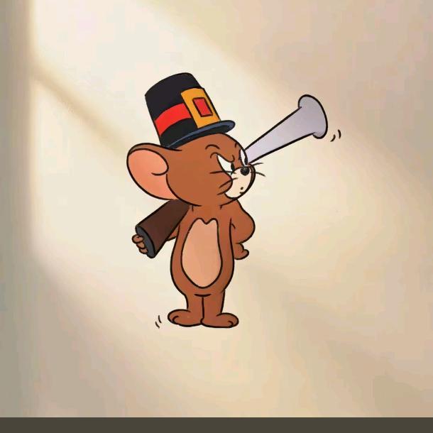 苗苗三角洲