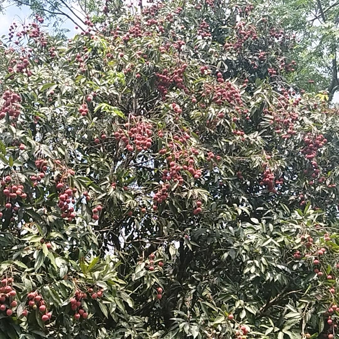 念念不忘初心