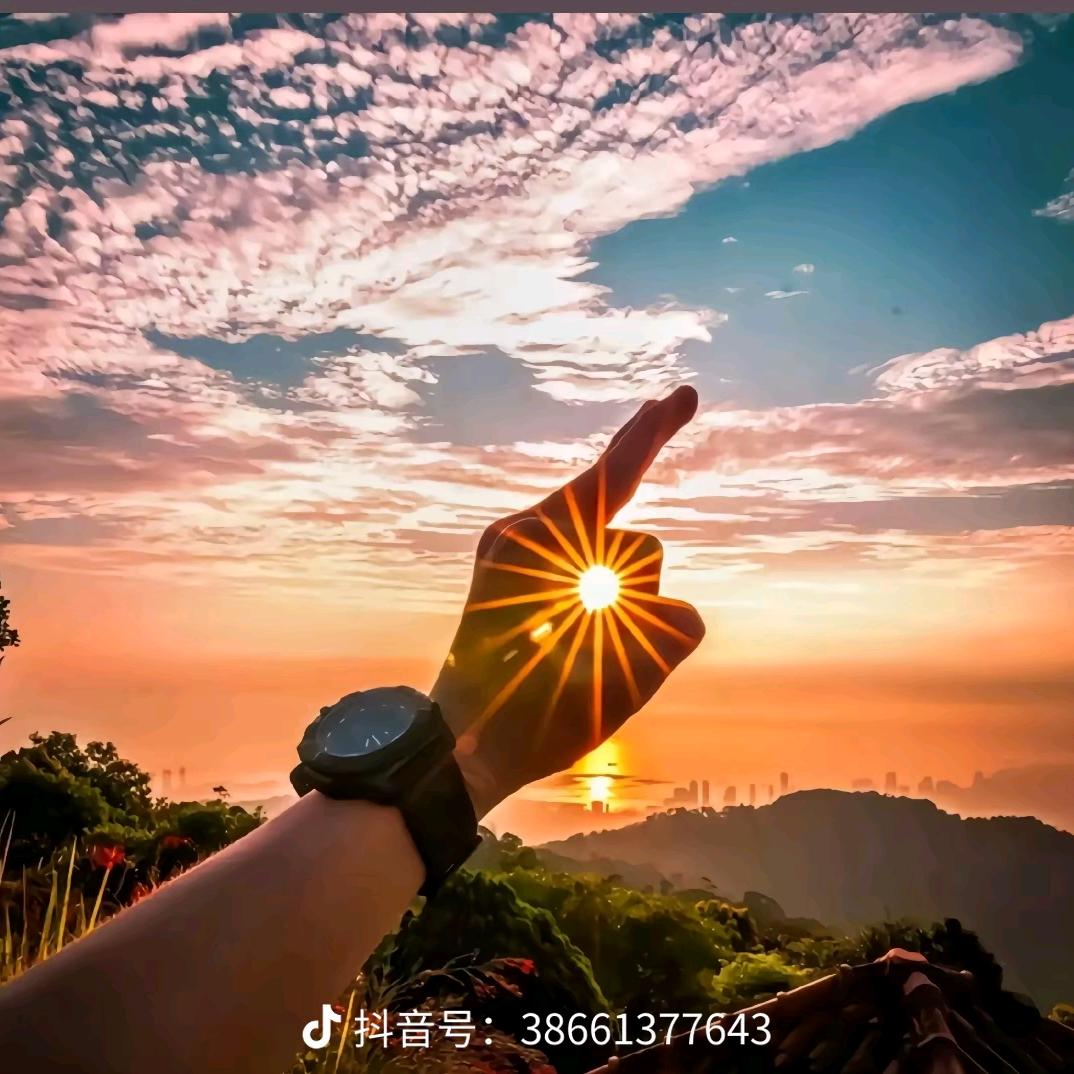 情难枕