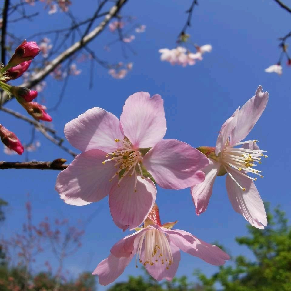 小优优选