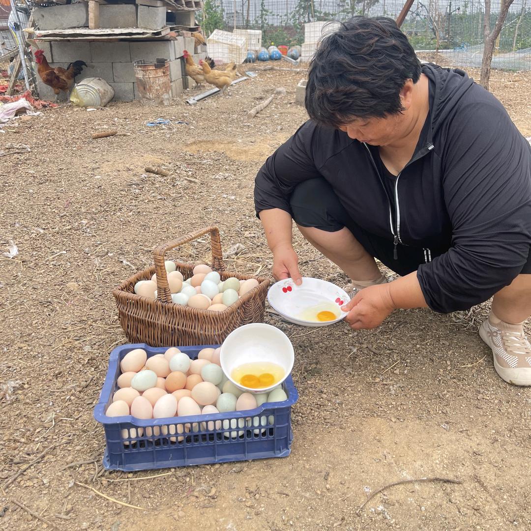 邹城老家笨鸡蛋
