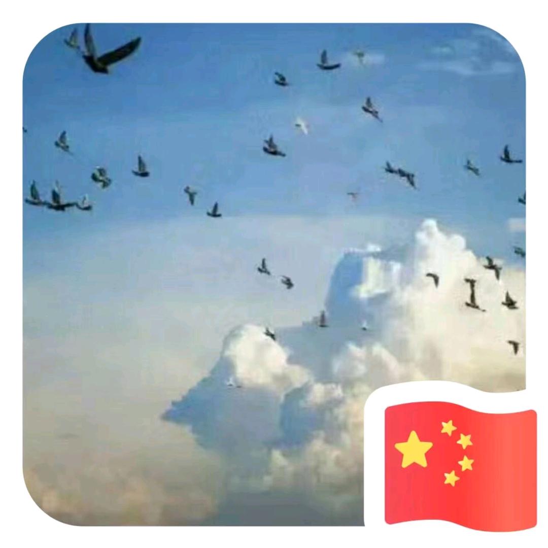 人生如戏