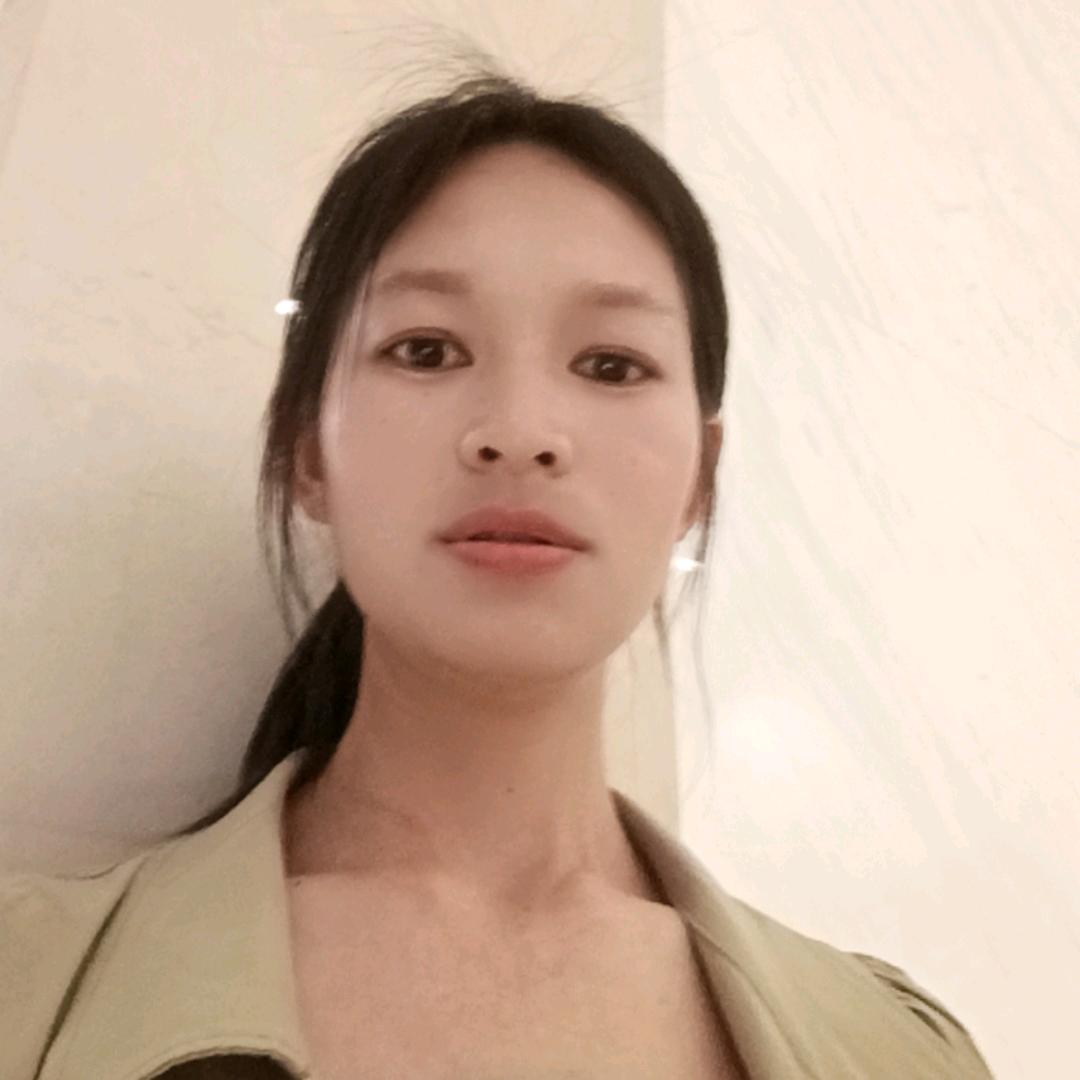 塑明星小菊