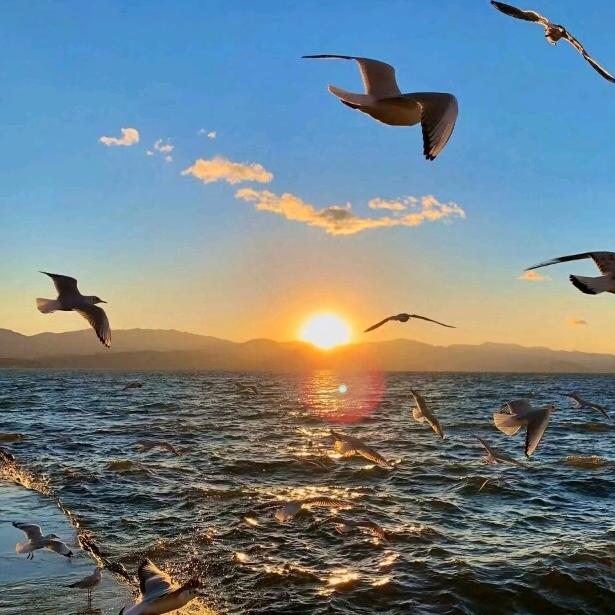 黎瑾实业生活坊